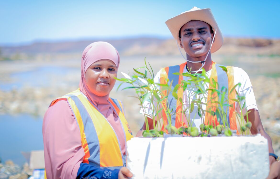 Mangrove Reforestation Campaign – Restoring Coastal Ecosystems